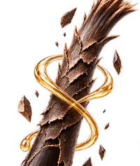 Damaged Hair