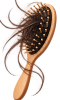 Hair Fall